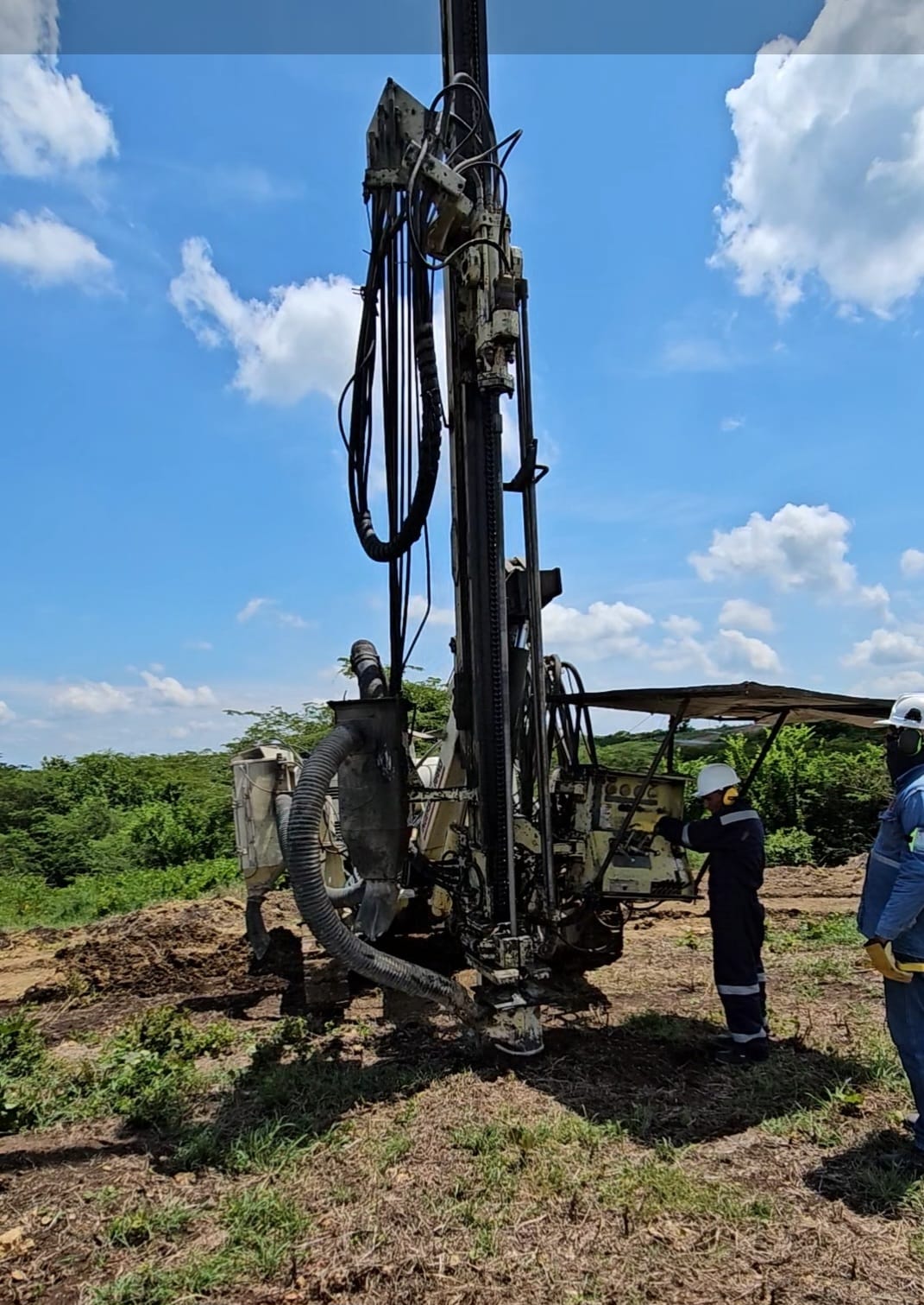 Parque Fotovoltaico Bosques Solares de Bolívar foto 3